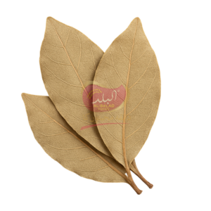 Tezz Patta / Bay Leaves